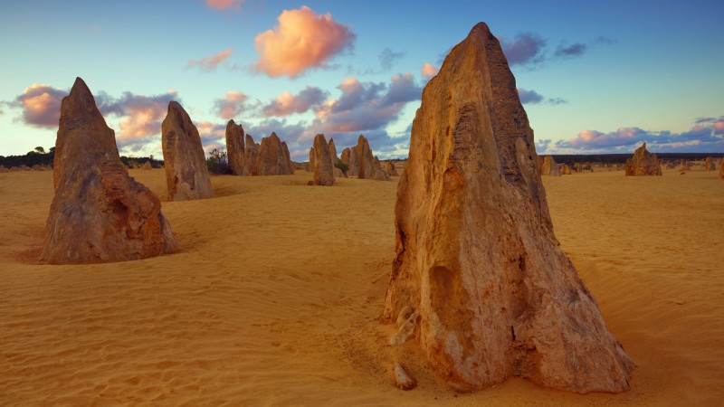 The Pinnacles, Nambung National Park