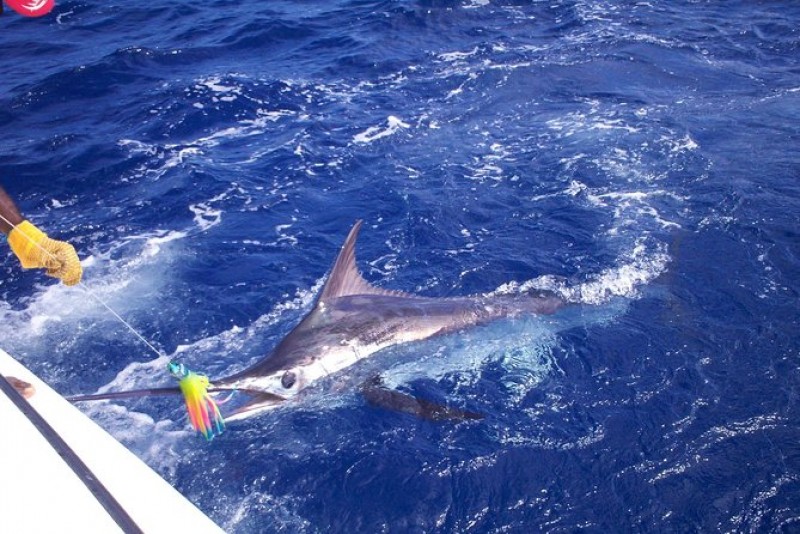 St Lucia Reef Fishing Excursion