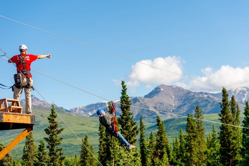 Denali Backcountry Safari