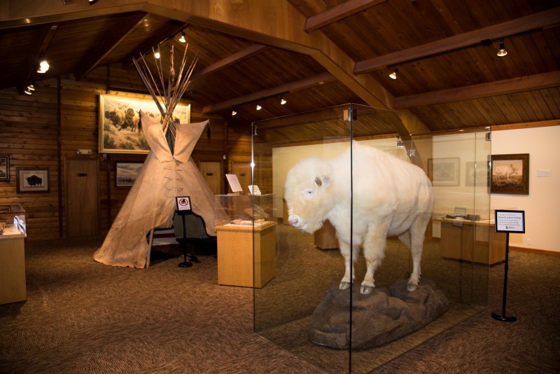 National Buffalo Museum