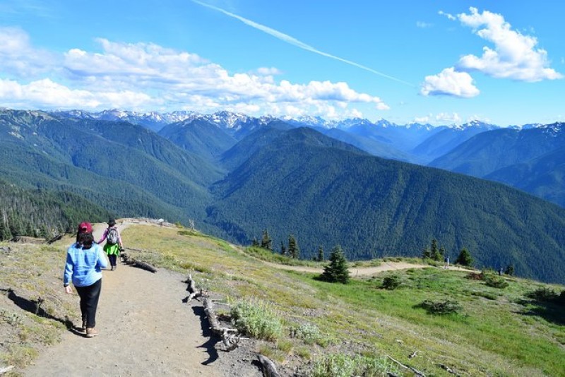 Hurricane Ridge Olympic National Park