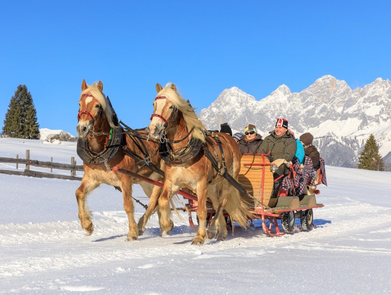 Private Horse-Drawn Sleigh Ride