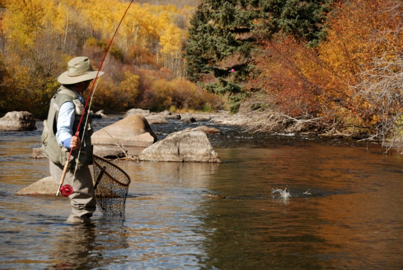 Fly Fishing