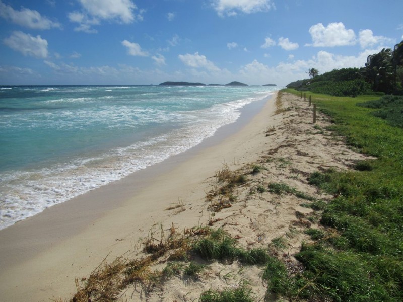 Salt Whistle Bay