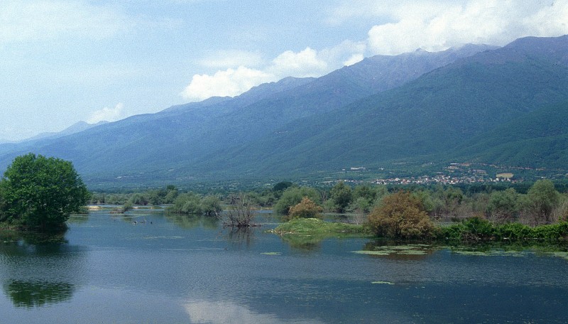 Lake Kerkini