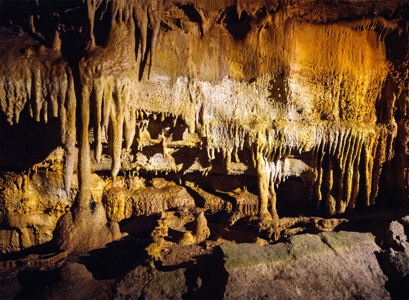 Mammoth Cave National Park