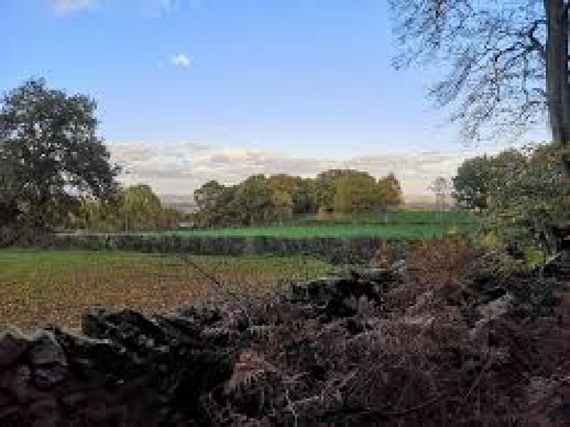 Beacon Hill Country Park