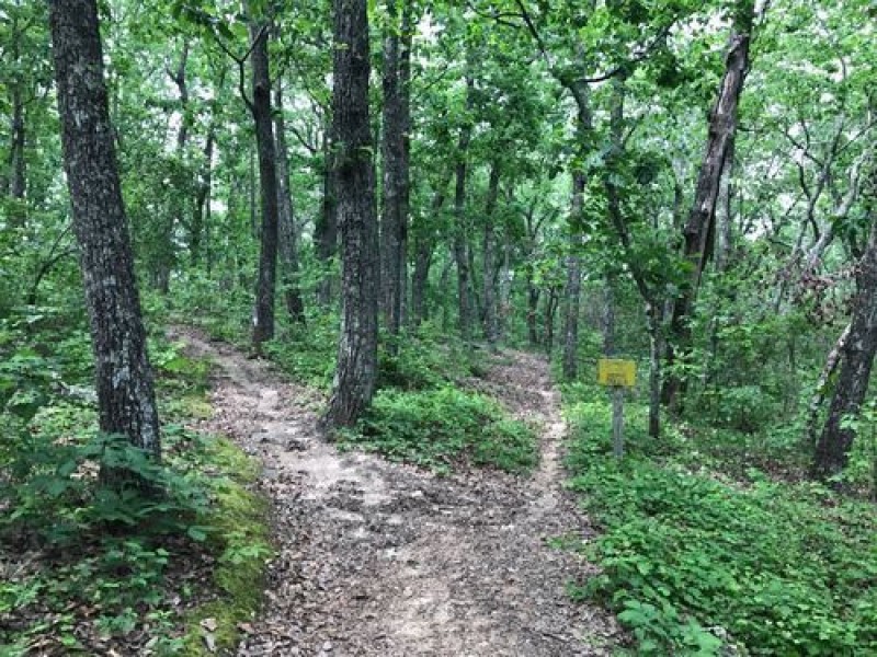 Hike and Camp the Big Poplar Loop, FD Roosevelt SP