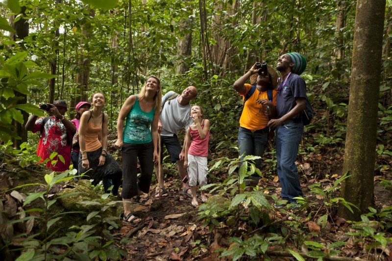 Rainforest Hike