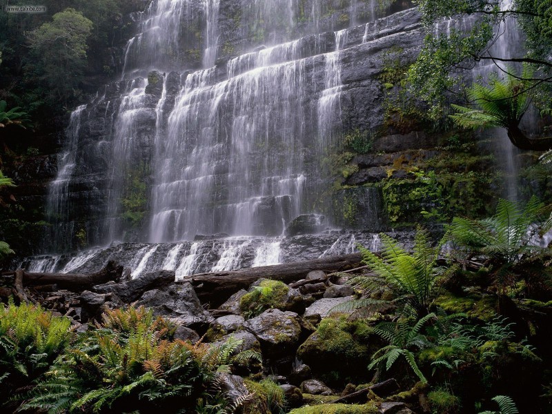 Mount Field National Park