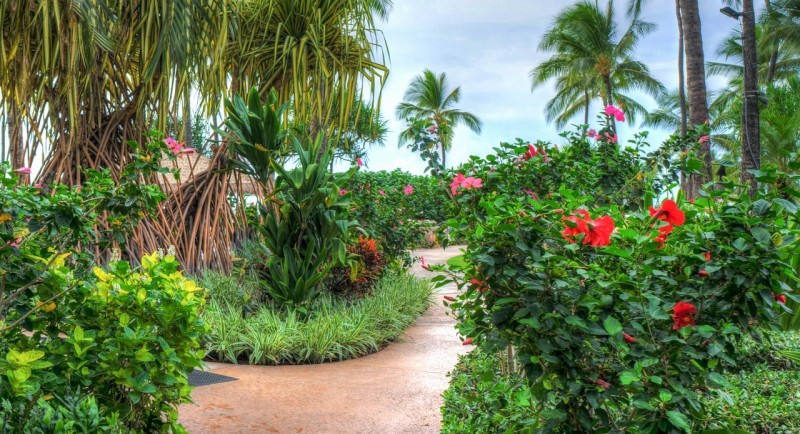 Princeville Botanical Gardens