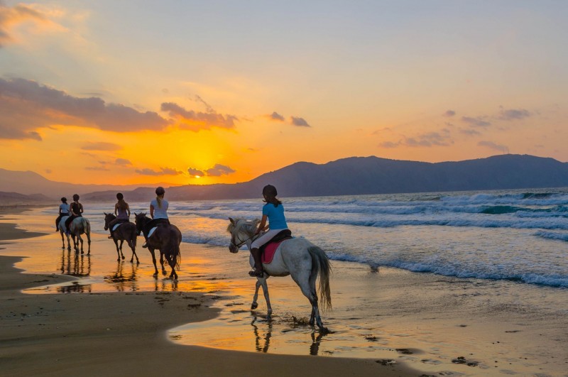 Horseback riding