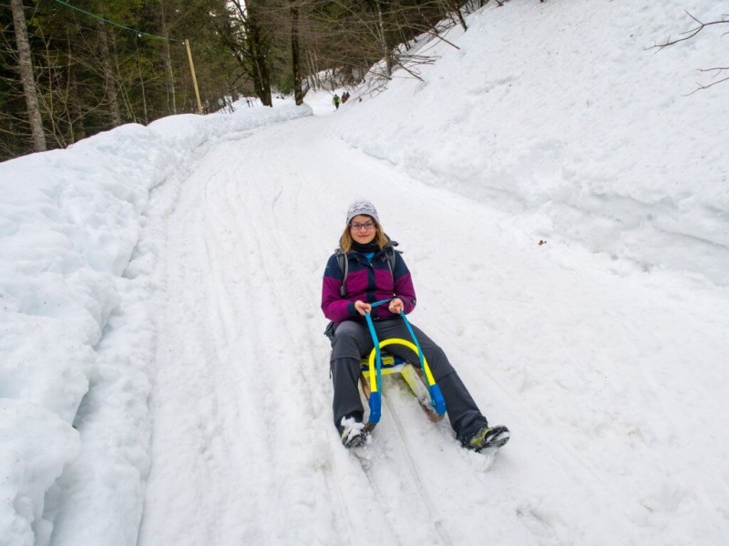 Go Sledding 