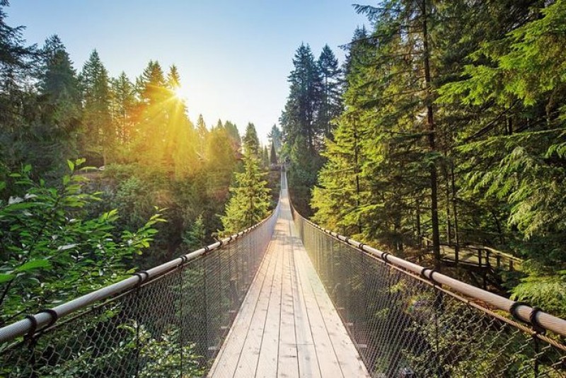 Seaplane Tour with Admission to Capilano Suspension Bridge Park