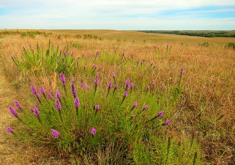 Tallgrass Prairie National Preserve