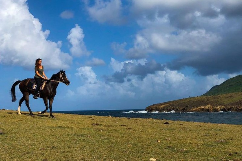 Private Caribbean Beach Horseback Ride and Swim 