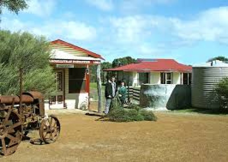 Emu Ridge Eucalyptus