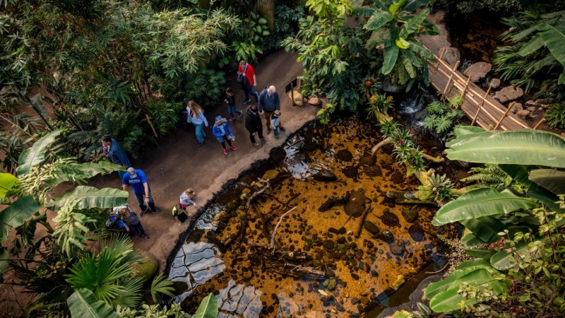 Omaha's Henry Doorly Zoo and Aquarium