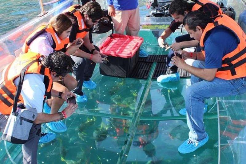 Glass Bottom Boat Tour to Land's End