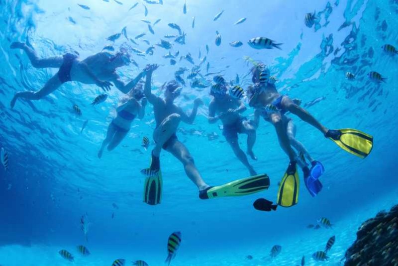 Snorkel Tour with Open Bar & Snacks