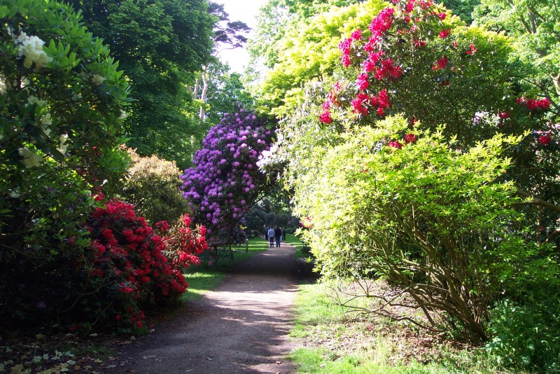 National Trust - Sheringham Park